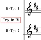 group-abbreviation-display-element